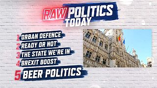 Raw Politics: Orban v Article 7, Wyclef on copyright, Brexit Brief and more