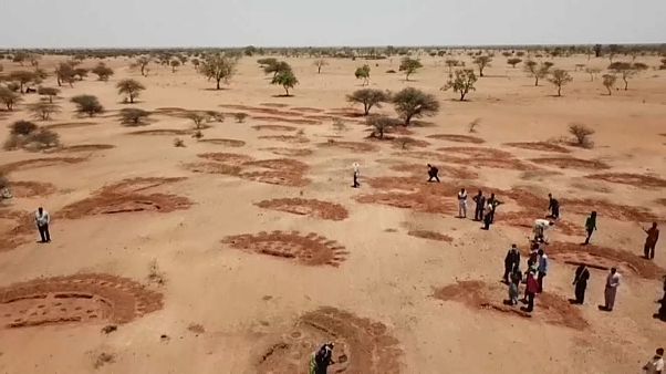 El mundo está perdiendo la batalla contra el hambre El mundo está perdiendo la batalla contra el hambre