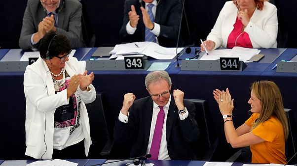 EU lawmakers back controversial copyright reforms EU lawmakers back controversial copyright reforms