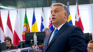 EU: Tatzen für Ungarn
