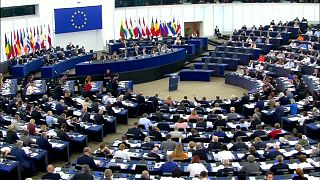 Европарламент поддержал правообладателей