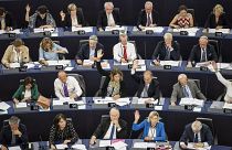 Tényleg csalás volt-e a Sargentini-jelentés megszavazása?