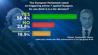 A megkérdezettek 56%-a szerint jogos az EP döntése