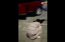 Kína: ámokfutó hajtott gyalogosok közé