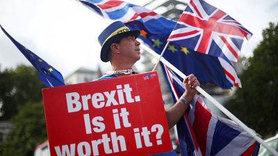 An anti-Brexit demonstrator waves flags outside the Houses of Parliament