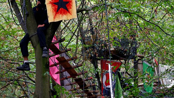 Le capanne costruite dai militanti ecologisti nella foresta di Hambach Le capanne costruite dai militanti ecologisti nella foresta di Hambach