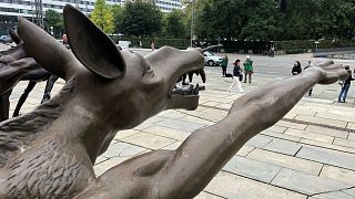 Hitler salute wolves erected in Chemnitz after far-right protests