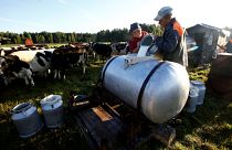 ABD'den süt ürünleri ithalatı yeniden başladı, Bakanlık haberlere tepki gösterdi