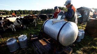 ABD'den süt ürünleri ithalatı yeniden başladı, Bakanlık haberlere tepki gösterdi