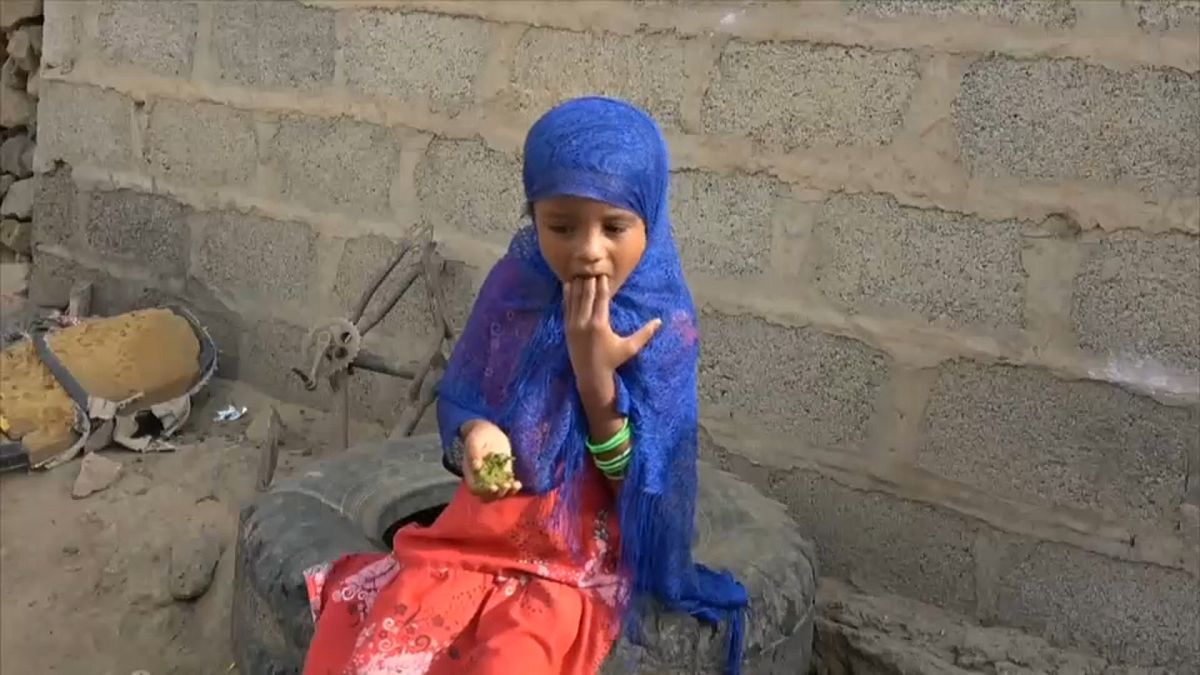 أطفال اليمن يأكلون أوراق الشجر