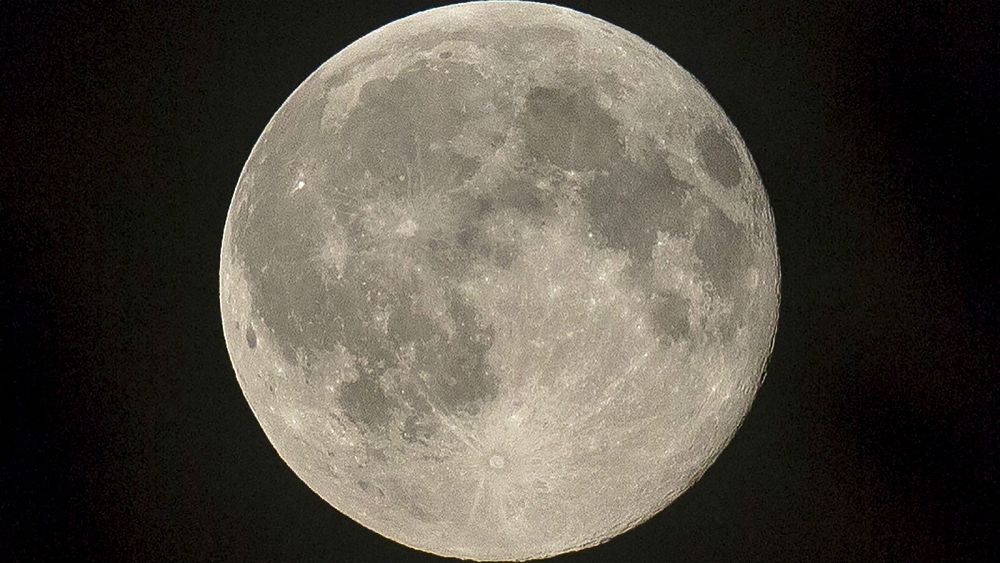 Elon Musk’s SpaceX signs up first private passenger to fly around the moon