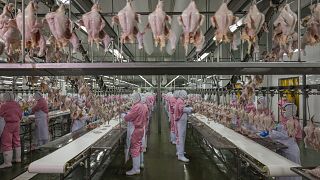 Jiangsu, China, June 16, 2016. Chicken processing plant. © George Steinmetz