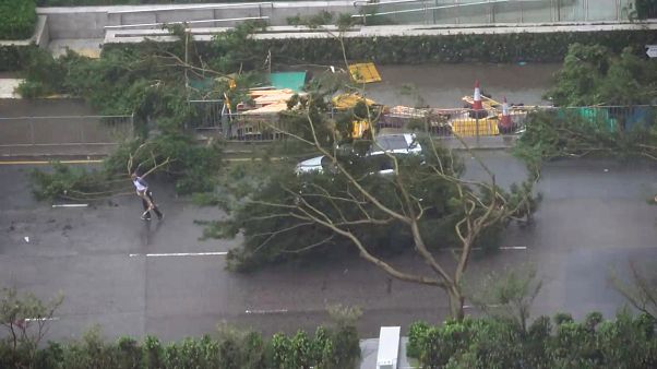 A driver removes a fallen tree during Typhoon Mangkhut in Hong Kong A driver removes a fallen tree during Typhoon Mangkhut in Hong Kong
