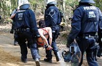Polícia desaloja protesto ambientalista na floresta milenar de Hambach