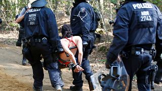 La policía desaloja a ecologistas del bosque de Hambach