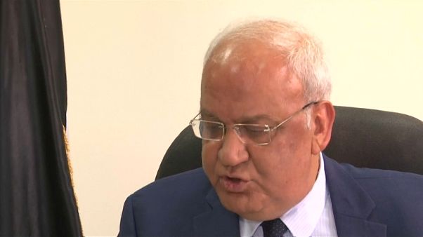 صائب عريقات: "أمريكا لن تقدم أبدا خطة للسلام في الشرق الأوسط" صائب عريقات: "أمريكا لن تقدم أبدا خطة للسلام في الشرق الأوسط"