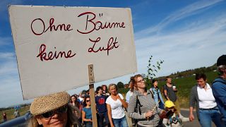 Hambacher Forst: Tausende protestieren gegen Abholzung