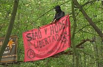 Germania: nella foresta di Hambach scoppia la guerra del carbone