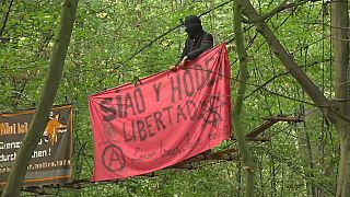 No decae la tensión en el bosque de Hambach en Alemania
