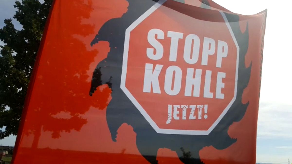 Ezrek tiltakoztak a német őserdő kiirtása ellen