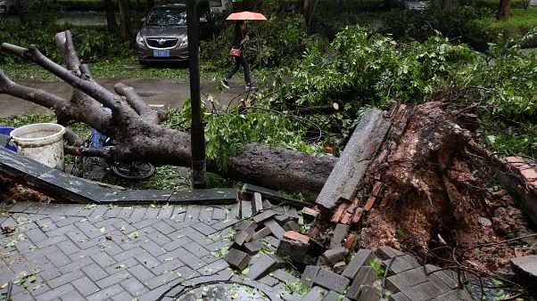 Mangkhut Tayfunu: 68 kişi öldü; 2,5 milyon kişi evlerinden tahliye edildi Mangkhut Tayfunu: 68 kişi öldü; 2,5 milyon kişi evlerinden tahliye edildi