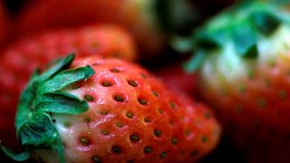 How serious is the scare over needles found in Australian strawberries?| Euronews answers