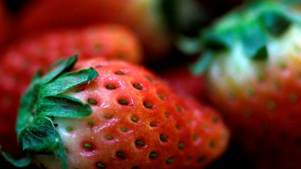 How serious is the scare over needles found in Australian strawberries?| Euronews answers How serious is the scare over needles found in Australian strawberries?| Euronews answers
