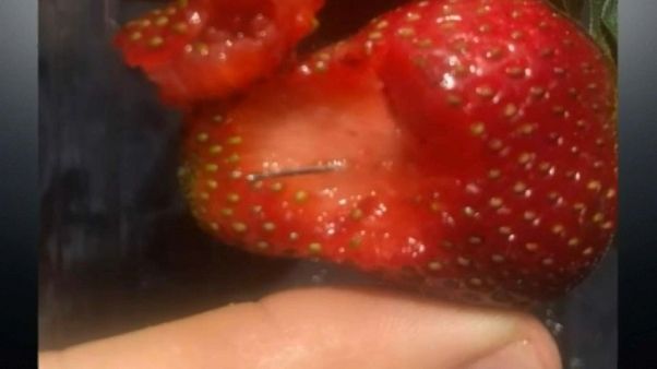 Alerta en Australia ante el creciente hallazgo de fresas con agujas Alerta en Australia ante el creciente hallazgo de fresas con agujas