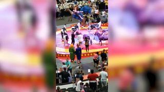 Watch: Seven injured as camel runs amok at Pittsburgh circus