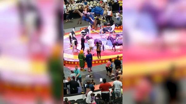 Etats-Unis : un dromadaire de cirque blesse légèrement 7 personnes Etats-Unis : un dromadaire de cirque blesse légèrement 7 personnes