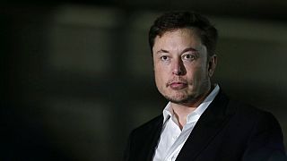 Elon Musk sued by Thai cave rescue diver he called 'pedo guy' and 'child rapist'