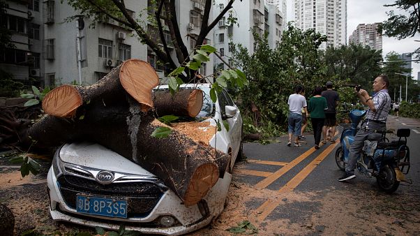 O rasto de devastação do Mangkhut O rasto de devastação do Mangkhut
