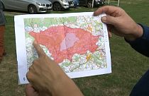 В Бельгии нашли новые случаи заражения африканской свиной чумой