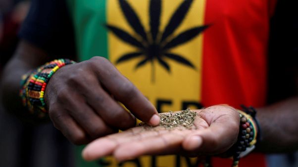 L'Afrique du Sud légalise le cannabis à titre privé L'Afrique du Sud légalise le cannabis à titre privé