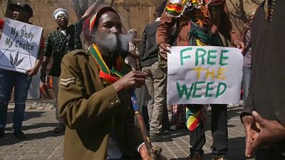شاهد : احتفالات بتشريع استخدام الماريجوانا في جنوب أفريقيا