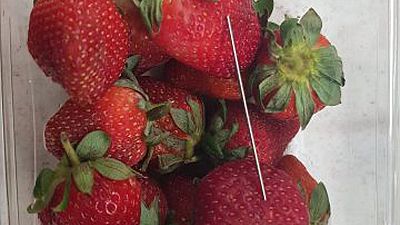 Australien, Neuseeland: Wie kommt die Nadel in die Erdbeere?