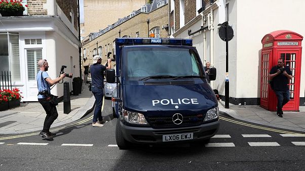 Londra cani saldırı Londra cani saldırı