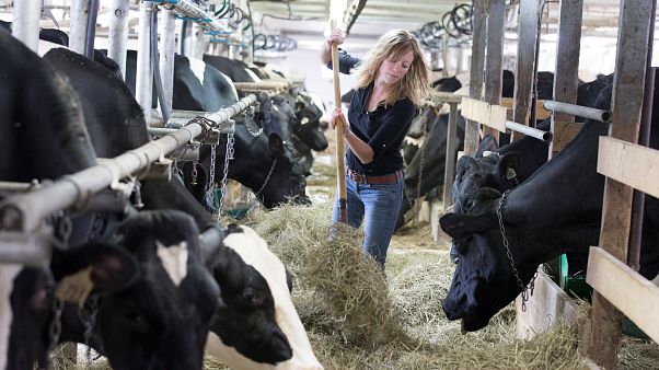 "Fair-Food"-Referendum: Schweizer streiten ums Essen "Fair-Food"-Referendum: Schweizer streiten ums Essen