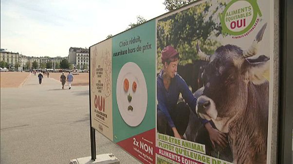 Élelmiszer-kérdésekről és bringautakról is szavaznak Svájcban Élelmiszer-kérdésekről és bringautakról is szavaznak Svájcban