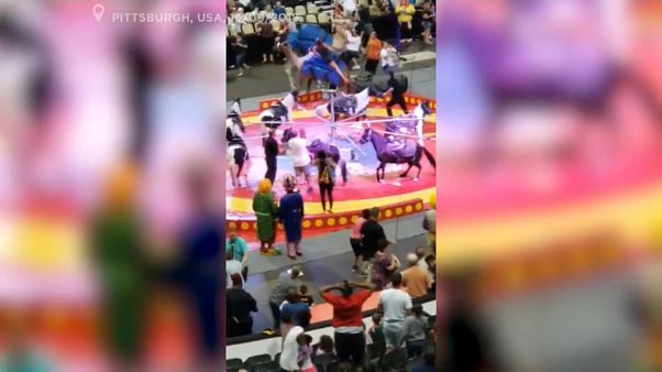 شاهد: جمل هائج يقتحم أحد عروض السيرك بالولايات المتحدة شاهد: جمل هائج يقتحم أحد عروض السيرك بالولايات المتحدة