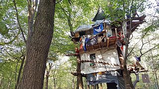 Baumhaus im besetzten Hambacher Forst