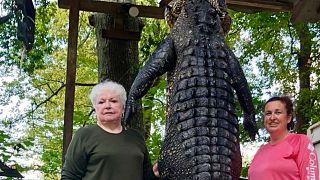 Texas great-grandmother shoots 12-foot gator as revenge for killing mini-horse