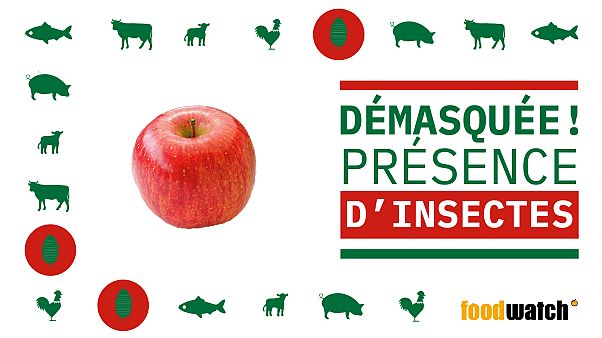 De l'huile d'insecte dans vos yaourts ou vos pommes ? De l'huile d'insecte dans vos yaourts ou vos pommes ?
