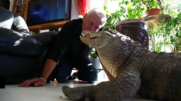 Un coleccionista francés comparte su casa con más de 400 reptiles Un coleccionista francés comparte su casa con más de 400 reptiles