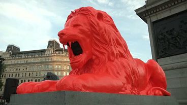 Roaring art: 'Please Feed the Lions' in Trafalgar Square