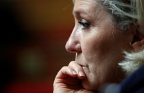 Fransız mahkemesi Le Pen'in psikiyatri testine girmesine hükmetti