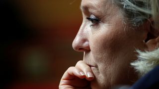 Fransız mahkemesi Le Pen'in psikiyatri testine girmesine hükmetti