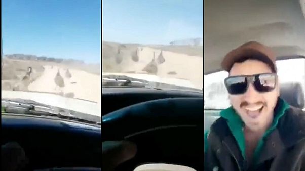 Video: Avustralya'da deve kuşlarını 'acımasızca' ezen şoför aranıyor Video: Avustralya'da deve kuşlarını 'acımasızca' ezen şoför aranıyor