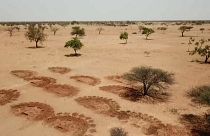 Migrants climatiques, la prochaine grande crise