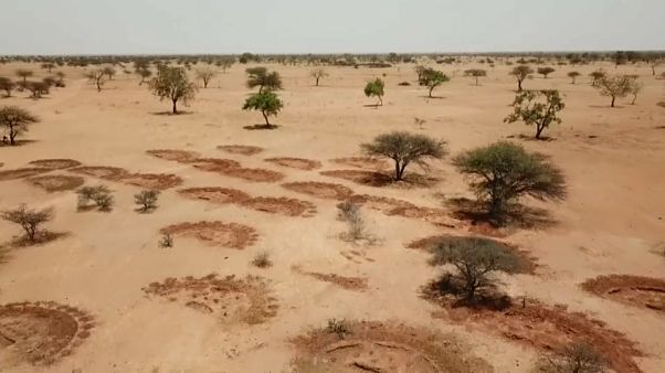 “Muchos de los que llaman inmigrantes económicos son también inmigrantes medioambientales" “Muchos de los que llaman inmigrantes económicos son también inmigrantes medioambientales"